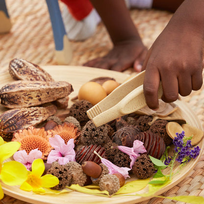 All-Weather Jumbo Tweezers - Set of 6