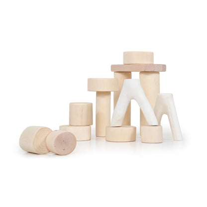 Toddler Branch Blocks - 15 pc. set