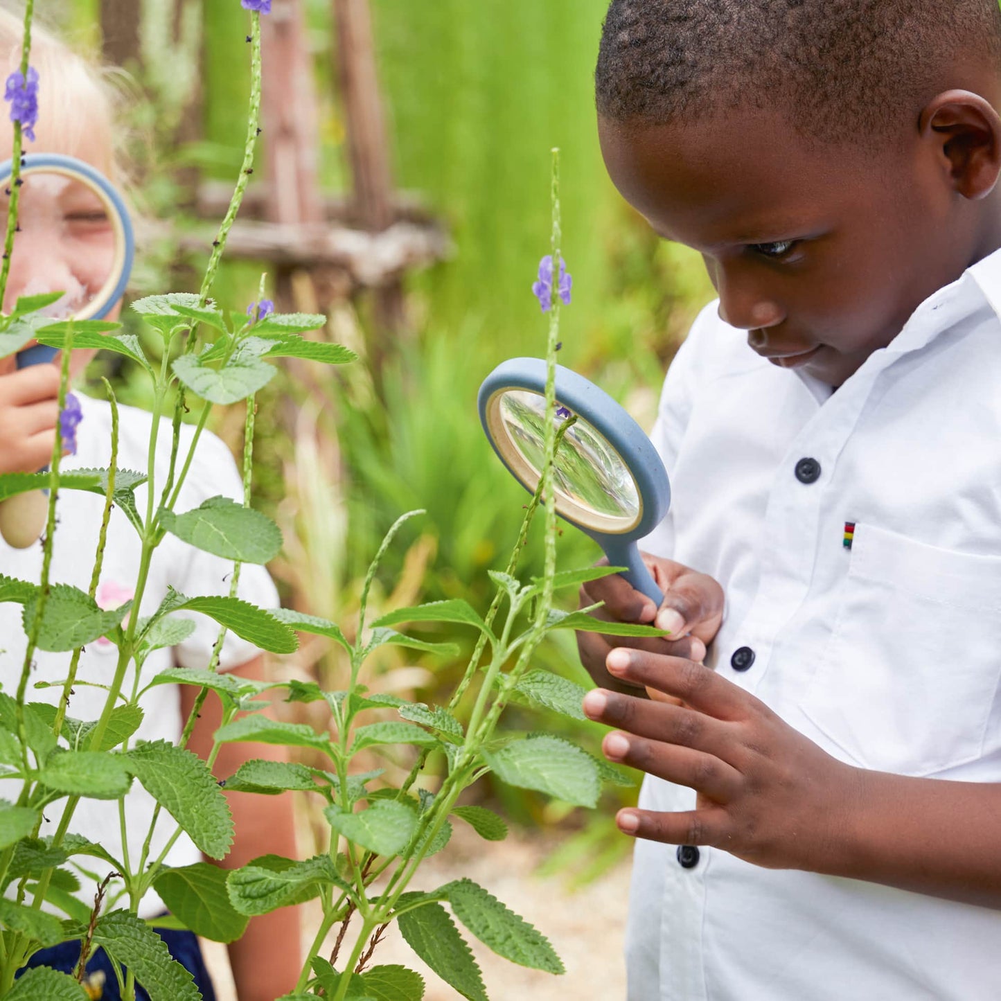 All-Weather Magnifying Glass - Set of 4